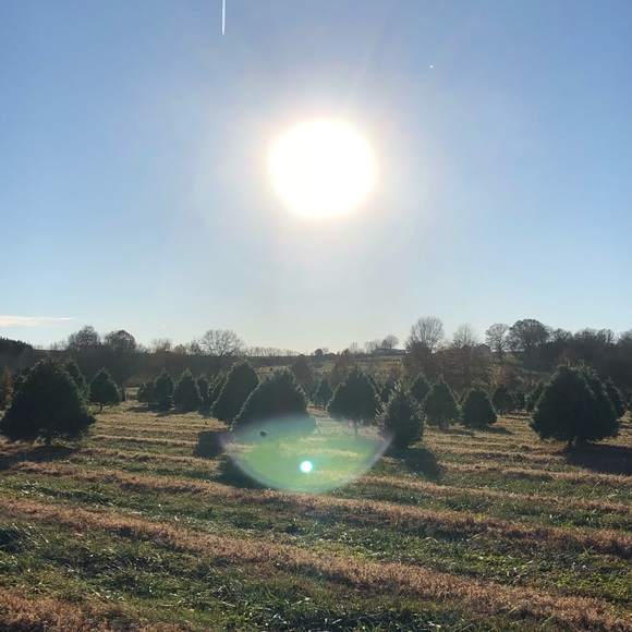 Meet your Posher, Courson - Picture 1 of 1